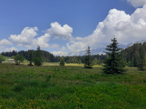 plateau de Beauregard